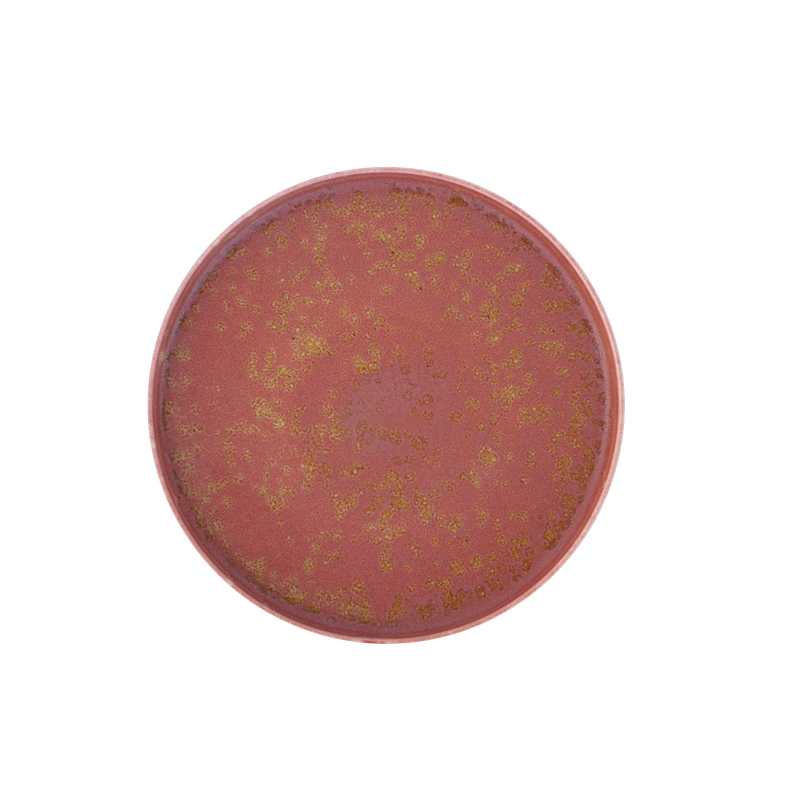 06-393 Πιάτο Elipse Rosa 17cm - Image 1