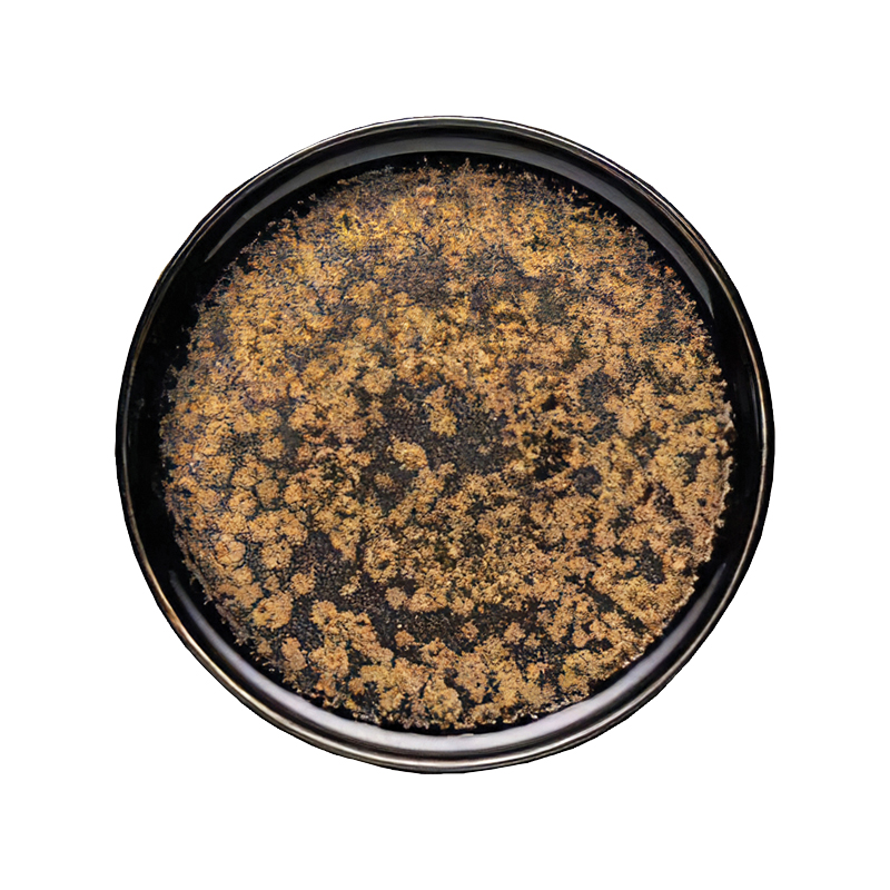 06-460 Πιάτο πορσελάνη Golden Flakes 25cm - Image 1